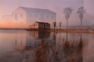 viaje a la albufera